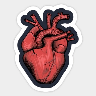 Heart of Life Sticker